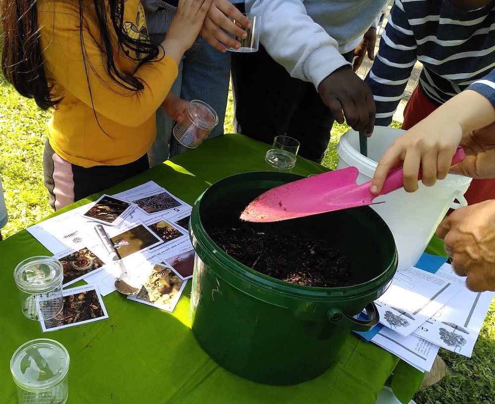 animation pédagogique compost